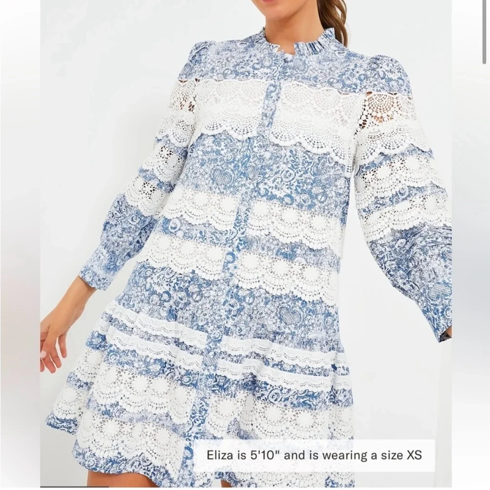 🤍HYACINTH HOUSE Lace Trim Blue Etched
Floral Emmie Mini Dress🩵 - Picture 2 of 11